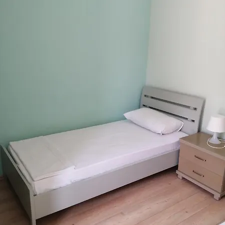 Elena-1 *